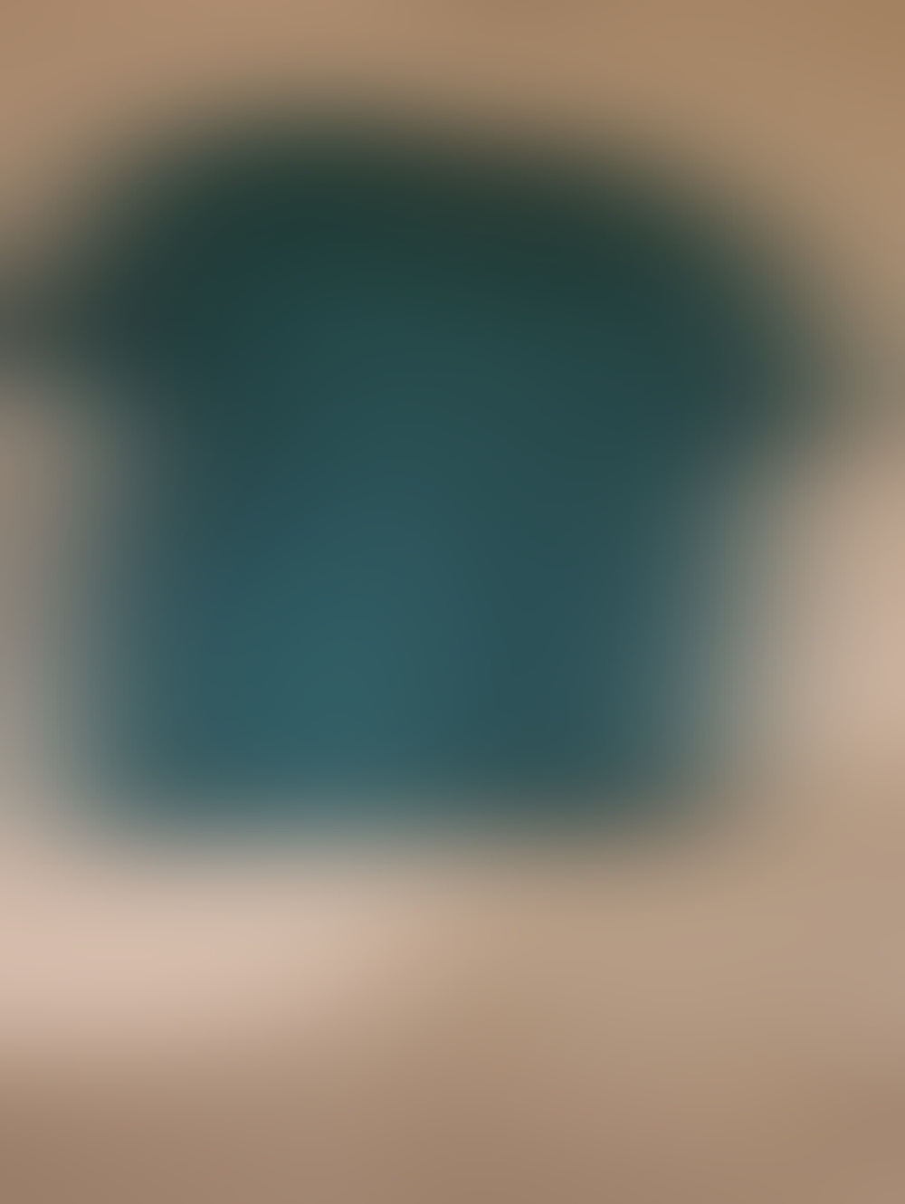 Polo Ralph Lauren Size Large Dark Green Short Sleeve Shirt